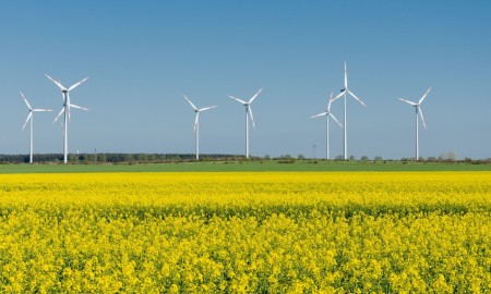 Parc éoliens : l'énergie verte