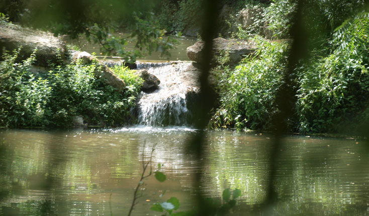 Témoignage Environnement