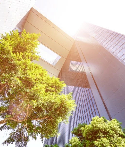 impact_environnemental.jpg impact_environnemental