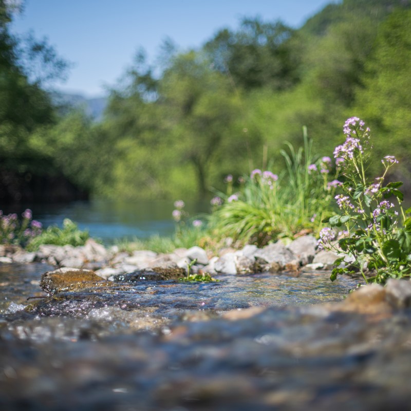 hydroecologie-notre-offre-socotec